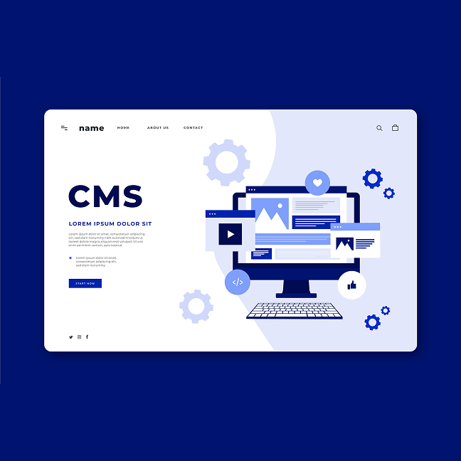 Custom Web Development Company | Top Website Development Services